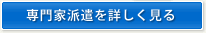 専門家派遣を詳しく見る