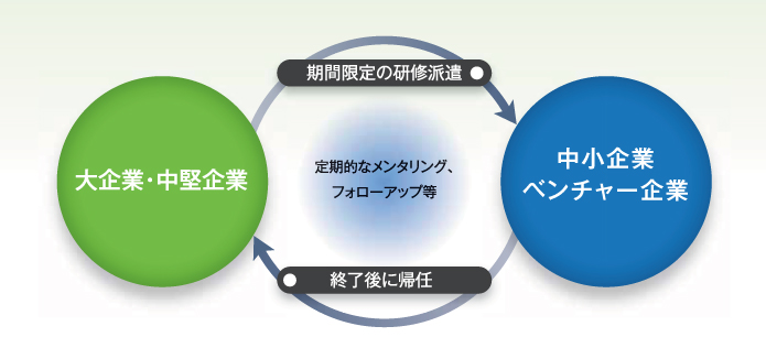 大企業・中堅企業の人材を対象として、中小・ベンチャー企業への研修派遣機会を提供するプログラムです。