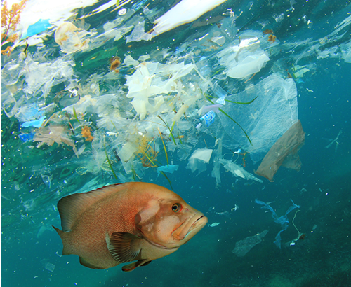 海に漂うプラスチックバッグ