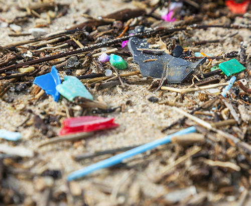 砂浜のプラスチックゴミ