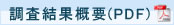調査結果概要（PDF）