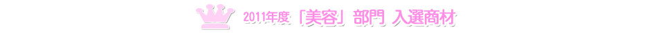 2011年度美容部門　入選商材